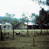 TomWakins6 March 68 VN 006